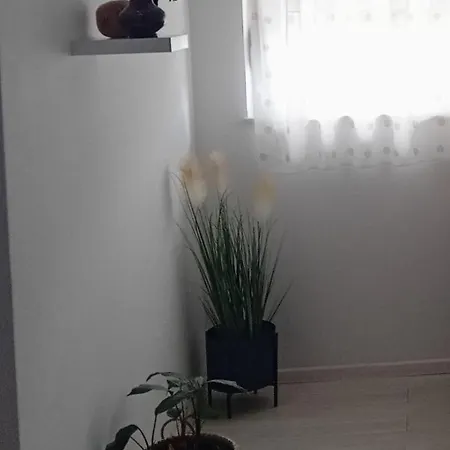 Apartment Lorica Gracac (Zadar)